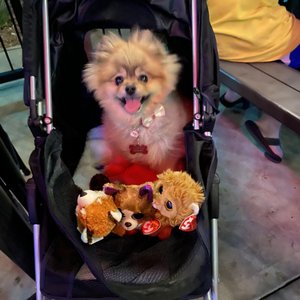 Red Mountain Bar & Grill on Yelp