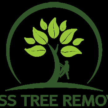 Mass Tree Removal - Tree Services Near Me - Stoughton, Massachusetts