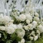 Photo of Bokay Florist