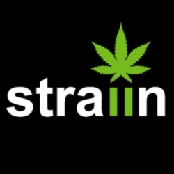 Straiin