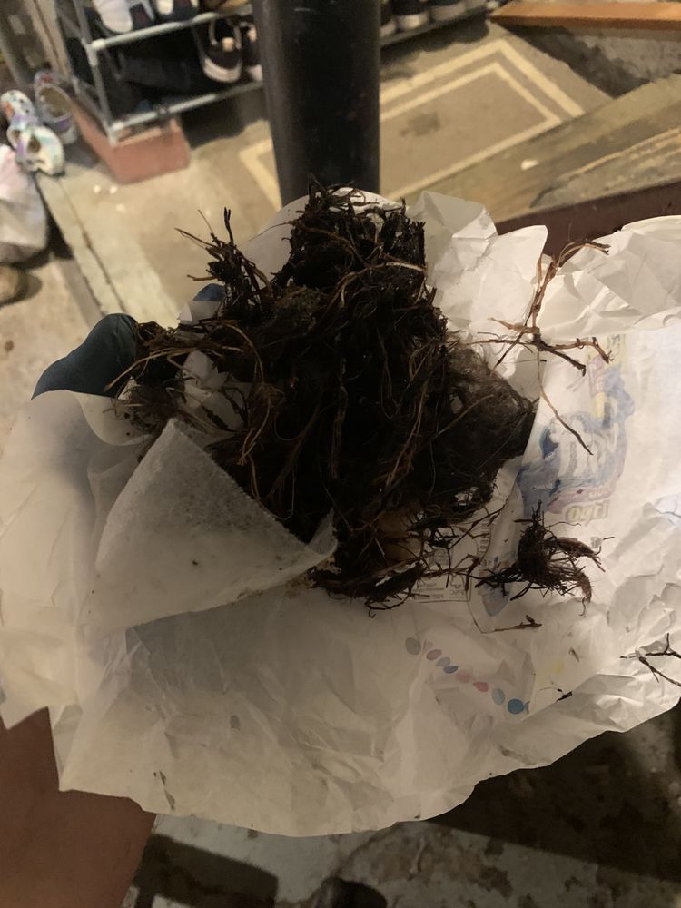 Slide of Clog Fighters Sewer & Drain