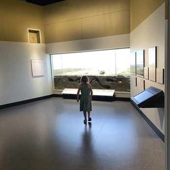 Royal Alberta Museum - Museums Near Me - Edmonton, Alberta