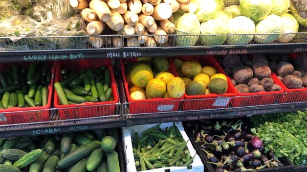 Gandhi Bazar by null