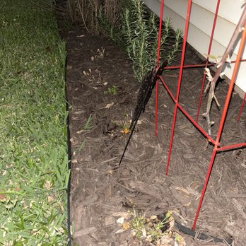 Integrity Landscaping & Fencing - Landscaping Near Me - Clute, Texas Integrity Landscaping & Fencing - Landscaping Near Me - Clute, Texas