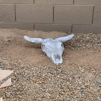 Lomeli's Garden Arts - Steer skull - Nurseries & Gardening Near Me - Kingman, Arizona Lomeli's Garden Arts - Steer skull - Nurseries & Gardening Near Me - Kingman, Arizona