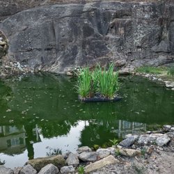 Rock Quarry Garden