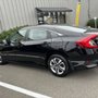 Shield & Armor Window Tinting and Accessories