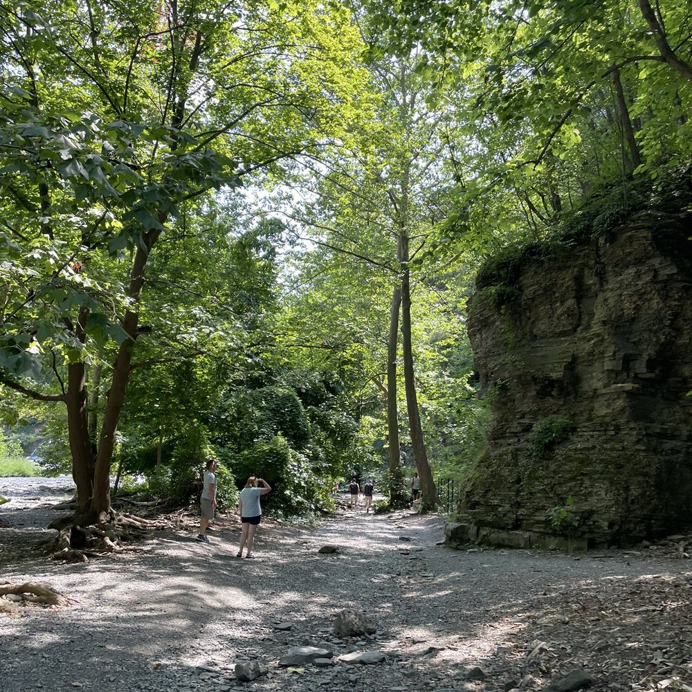 Ithaca Falls - Hiking Near Me