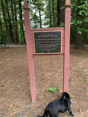 GREAT NECK PARK - 59 Photos & 14 Reviews - Parks - 2513 Shorehaven Dr