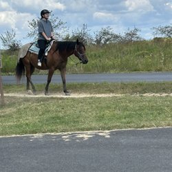National Riding Stables