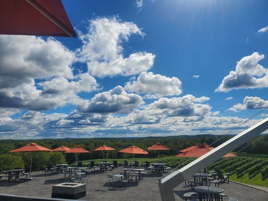 Milea Estate Vineyard by null