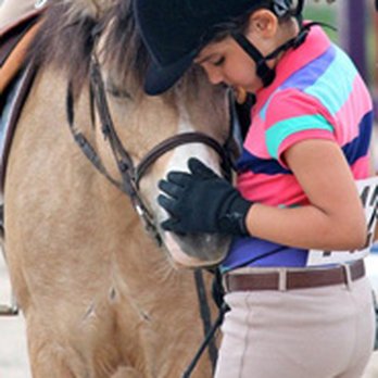 Stonewood Riding Academy - We believe a rider develops best when they are taught in an environment where they receive a great deal of personalized attention. - Horseback Riding Near Me - Pickering, Ontario