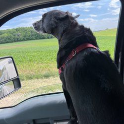 Milwaukee Dumpster Rental - Roo