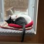 Photo of Pet Refuge-Nkeapl