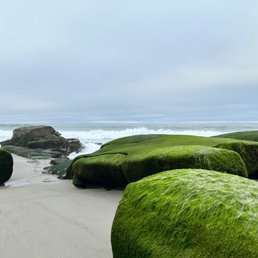 Down the street to the ocean
