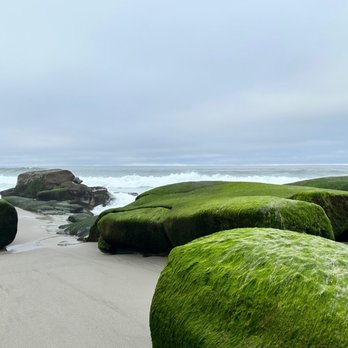 Bluewater Vacation Homes - Down the street to the ocean - Vacation Rentals Near Me - San Diego, California