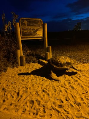 Gulf State Park Pier by null