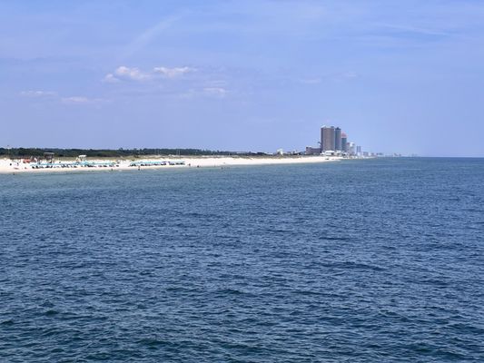 Gulf State Park Pier by null