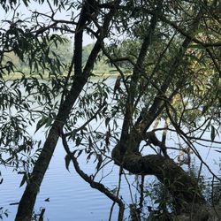 Daventry Country Park