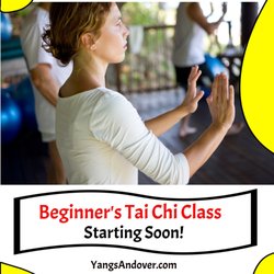 Yang's Martial Arts - Women doing tai chi