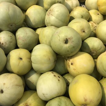 99 Ranch Market - Mini Green Melons - Seafood Markets Near Me - Alhambra, California 99 Ranch Market - Mini Green Melons - Seafood Markets Near Me - Alhambra, California