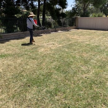 Rojas Landscape Construction - Adding fertilizer - Tree Services Near Me