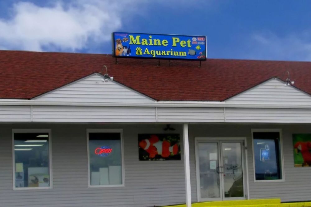 MAINE PET & AQUARIUM Updated September 2024 11 Photos 47 Downeast