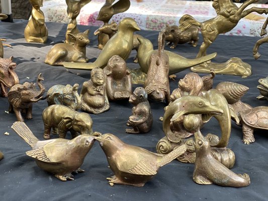 Rozelle Collectors Markets by null