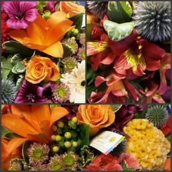 Annick Fleurs