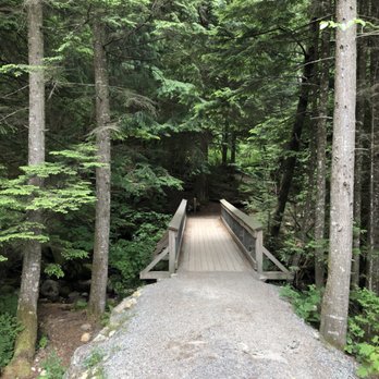 Shannon Falls Provincial Park - Parks Near Me - Squamish, British Columbia Shannon Falls Provincial Park - Parks Near Me - Squamish, British Columbia