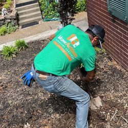 MowAction Lawn Care Services