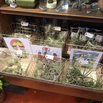 Pueblo - Nurseries & Gardening Near Me - Phoenix, Arizona