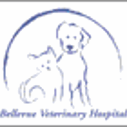Bellevue Veterinary Hospital - Logo