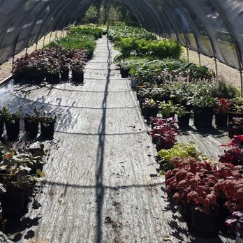 Wagner Nursery - Nurseries & Gardening Near Me - Asbury, Iowa Wagner Nursery - Nurseries & Gardening Near Me - Asbury, Iowa