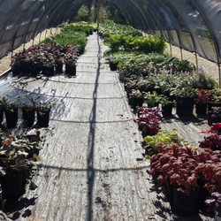 Wagner Nursery