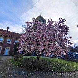Wochenmarkt Münster