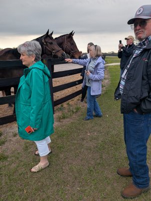 Farm Tours of Ocala by null