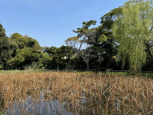 Sankeien Garden by null