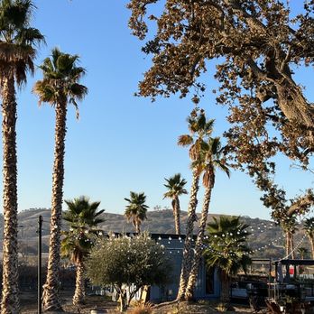 Geneseo Inn - View of common area and office - Bed & Breakfast Near Me - Paso Robles, California
