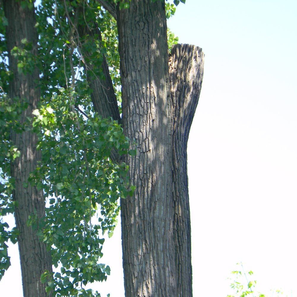 Northmoor Park - Parks Near Me - Columbus, Ohio Northmoor Park - Parks Near Me - Columbus, Ohio