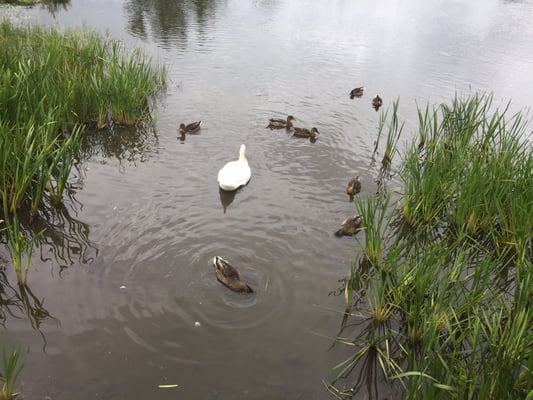 Russborough House & Park by null