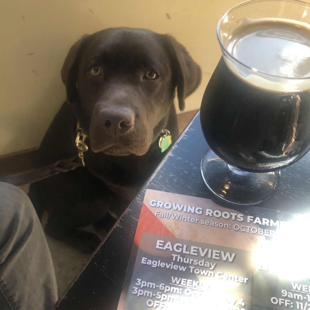 Locust Lane Craft Brewery - Getting ready for Babe - Breweries Near Me - Malvern, Pennsylvania