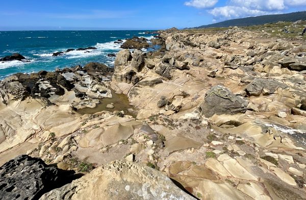 Salt Point State Park by null