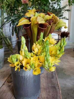 Le Jardin Français Boutique by null