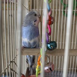 Mr Maksoud's Handbags & Shoe Repair - Beautiful colorful store pet