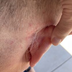 Great Clips - Behind left ear, left a large patch of hair! Also, Duc's client was covered with hair clippings on his t-shirt and also in his hair.