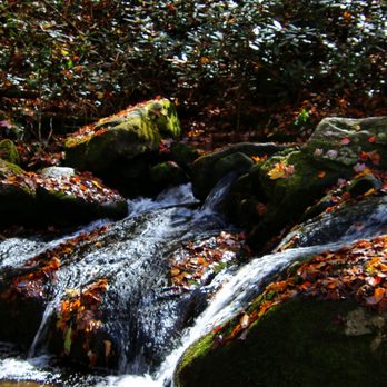 Roaring Fork Motor Nature Trail - Hiking Near Me