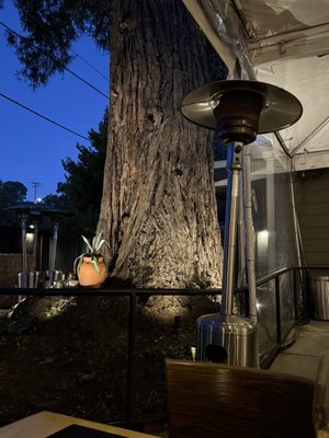 Dar Restaurant and Bar by null