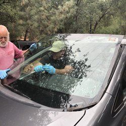 Integrity auto glass