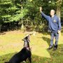 Photo of Tom's Dog Training